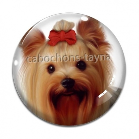 Cabochon Verre - loup