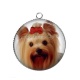 Pendentif Cabochon Argent - loup