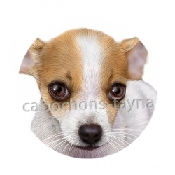 chien