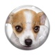 Cabochon Verre - loup