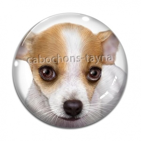 Cabochon Verre - loup