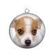 Pendentif Cabochon Argent - loup