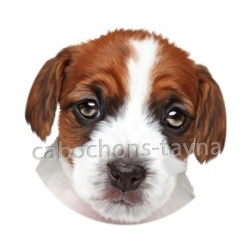 chien