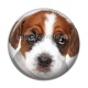 Cabochon Résine - loup