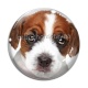 Cabochon Verre - loup