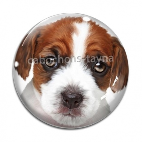 Cabochon Verre - loup