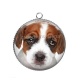 Pendentif Cabochon Argent - loup