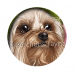 chien