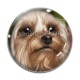 Cabochon Verre - loup