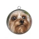 Pendentif Cabochon Argent - loup