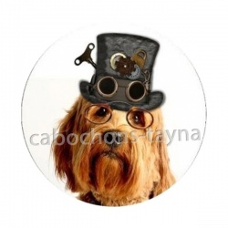 chien