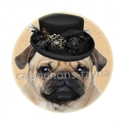 chien