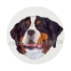 chien
