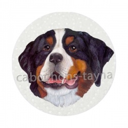chien