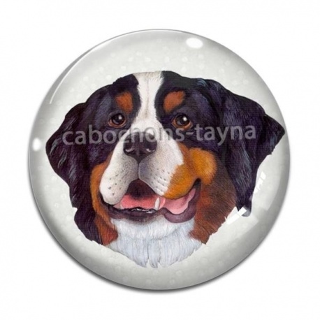 Cabochon Verre - chien