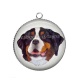 Pendentif Cabochon Argent - chien