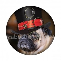 chien