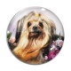 Cabochon Verre - chien