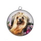 Pendentif Cabochon Argent - chien