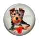 Cabochon Résine - chien