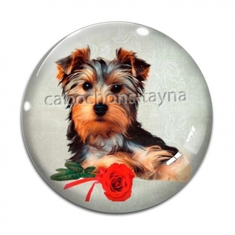 Cabochon Verre - chien