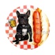 chien