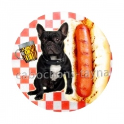chien