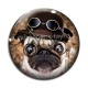Cabochon Verre - chien