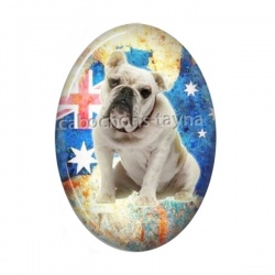 chien