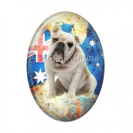 Cabochon Résine Ovale - chien
