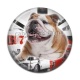 Cabochon Résine - chien