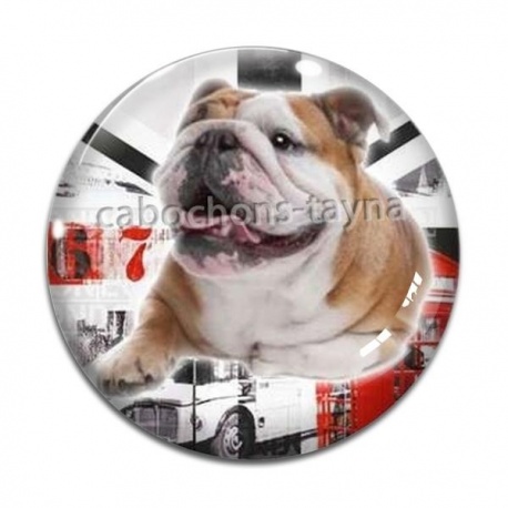 Cabochon Verre - chien