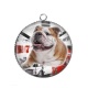 Pendentif Cabochon Argent - chien