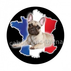 chien