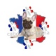 chien