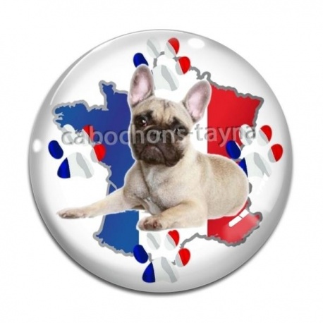 Cabochon Verre - chien