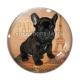 Cabochon Verre - chien
