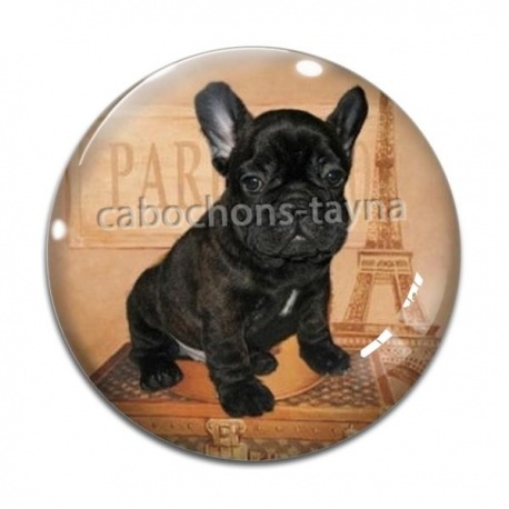 Cabochon Verre - chien