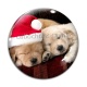 Cabochon Verre - chien