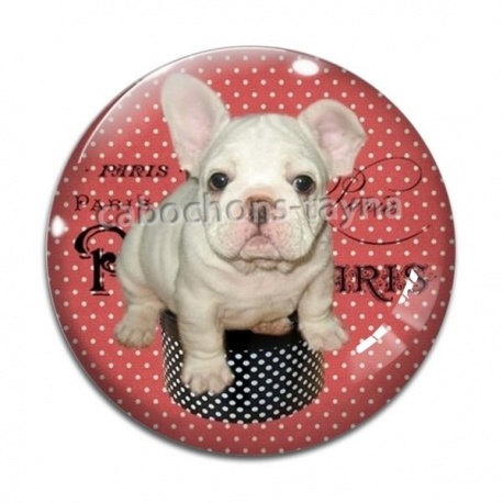 Cabochon Verre - chien