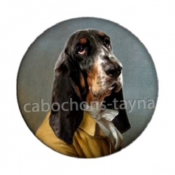 chien