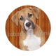 chien