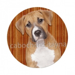 chien
