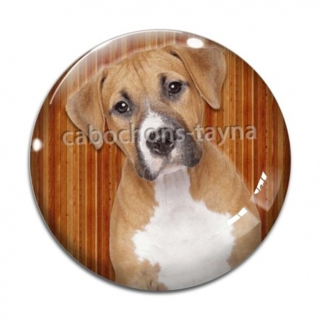 Cabochon Verre - chien