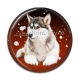 Cabochon Résine - loup