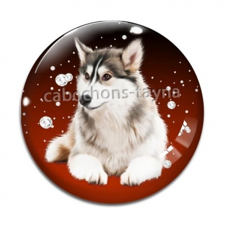 Cabochon Verre - loup