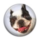 Cabochon Résine - chien