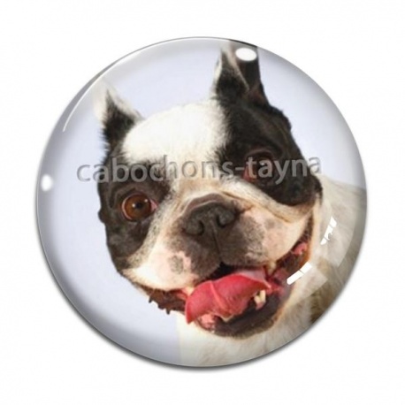 Cabochon Verre - chien