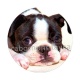 chien