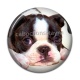 Cabochon Résine - chien